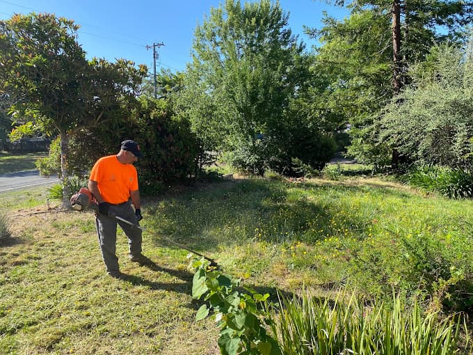 Landscaping Maintenance
